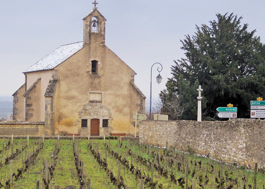 Maison Champy, Chablis 2018