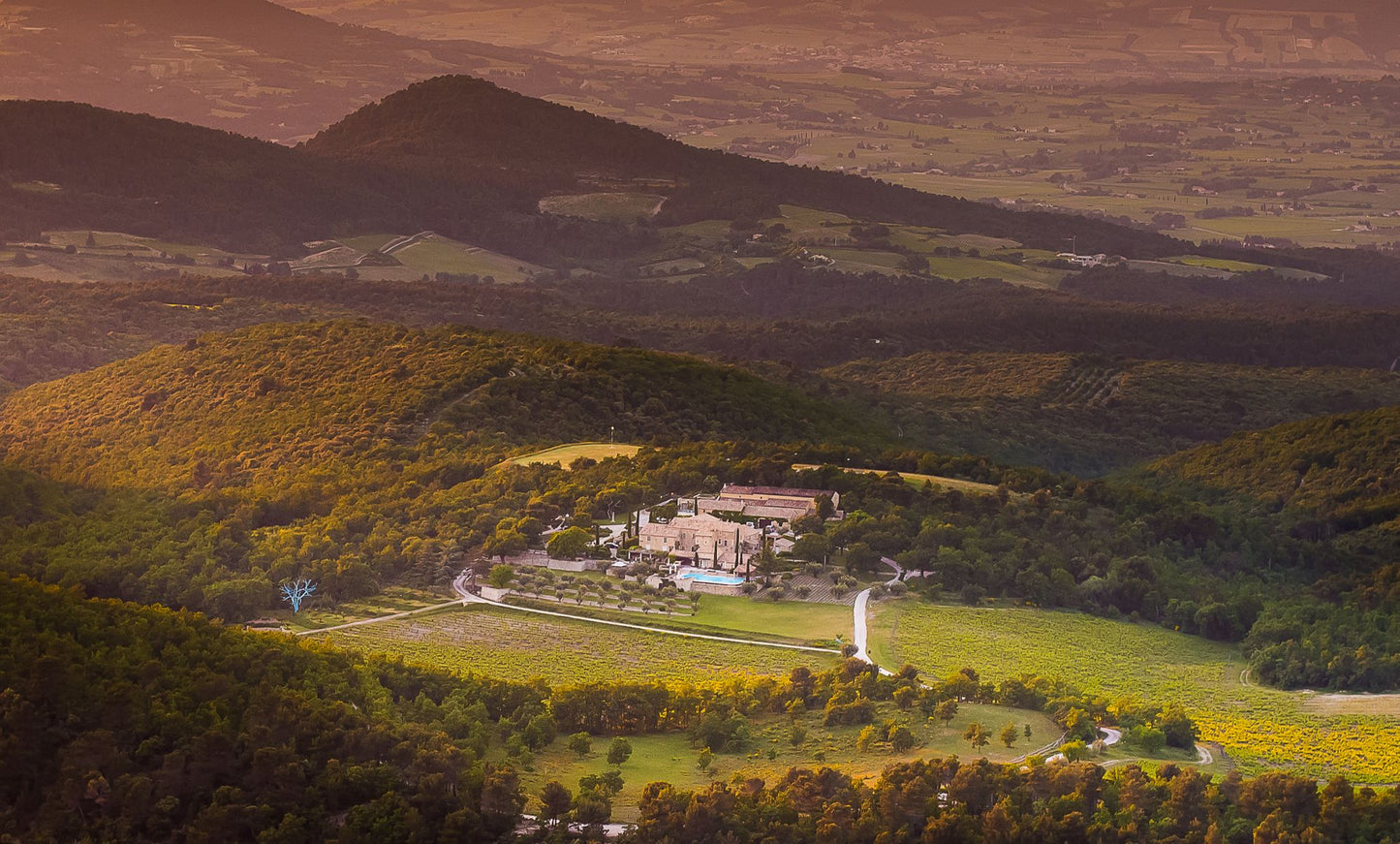 Chene Bleu, ‘Abelard’ 2013