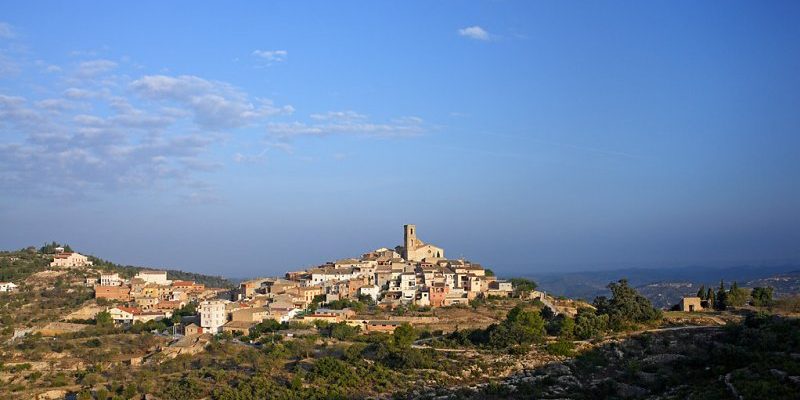 Syndicat La Figuera, Montsant Garnacha Negra 2019