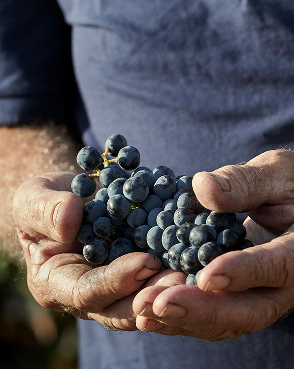 Luberri, ‘Florus’ 2021