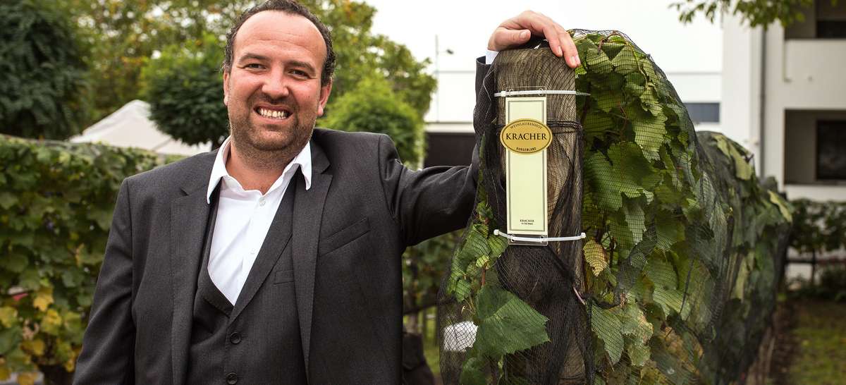 Kracher, Pinot Gris Trocken 2019