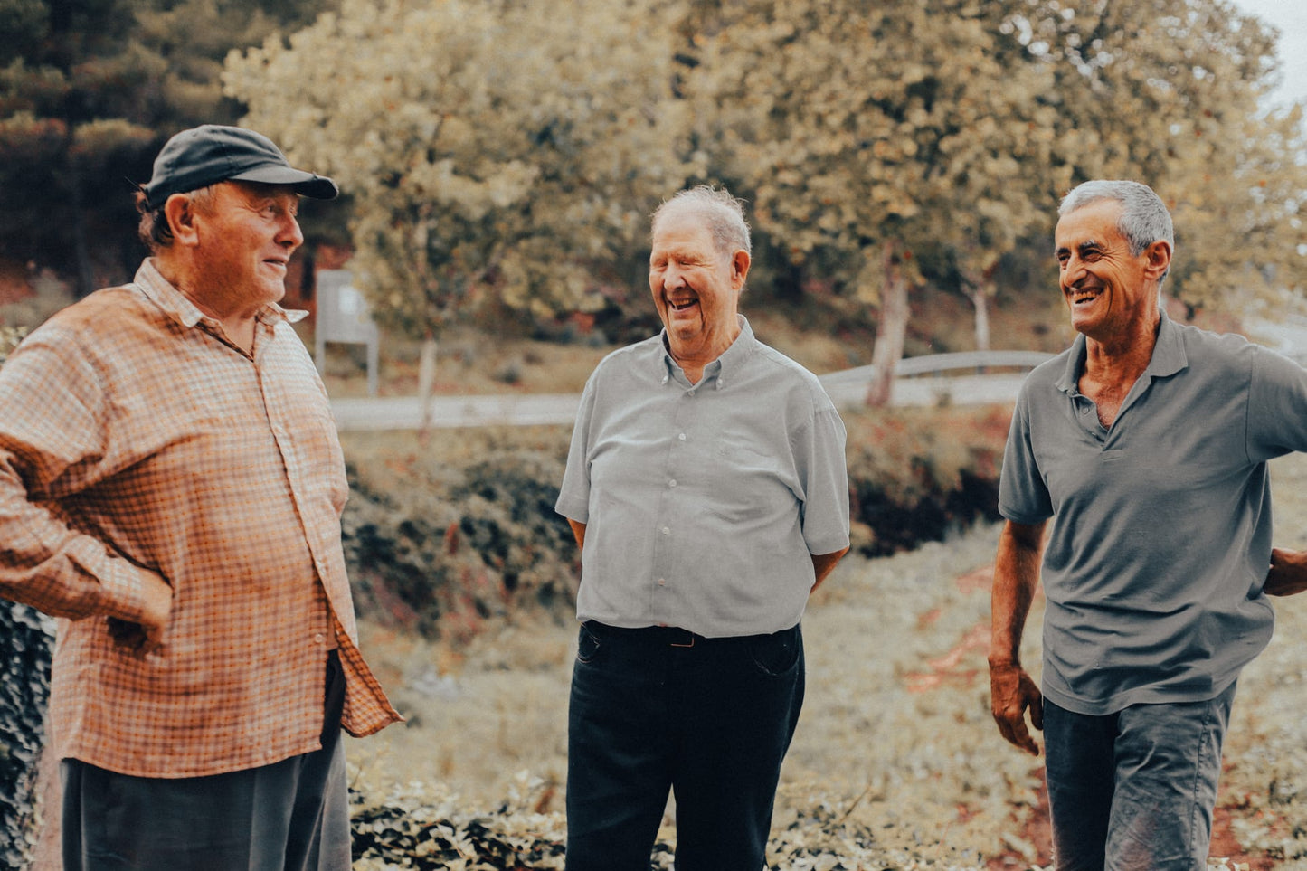 Syndicat La Figuera, Montsant Garnacha Negra 2019