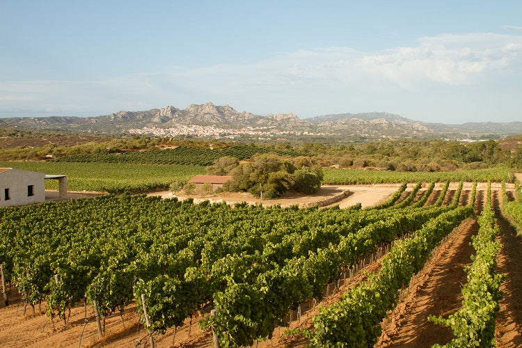 Vigne Surrau, ‘Naracu’ Cannonau di Sardegna 2020